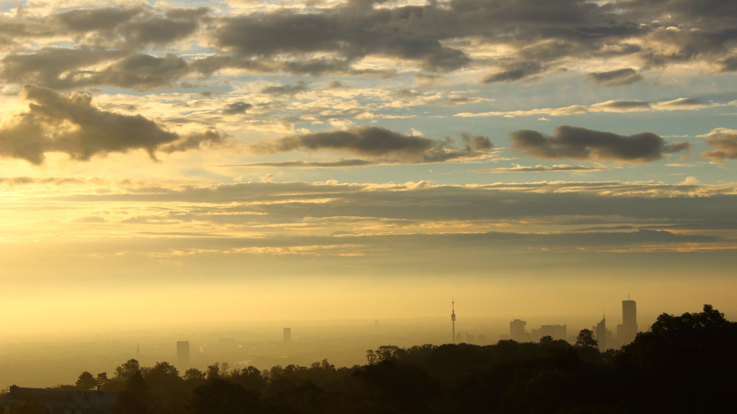 großstadt im morgennebel, wiese, wolken, wien